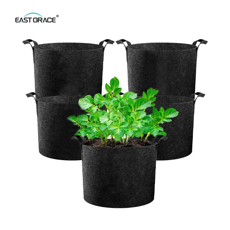 Indoor Grow Bags