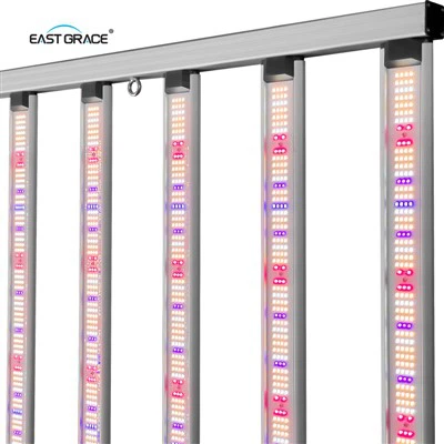10bars търговски светодиоди растат светлина 1000w