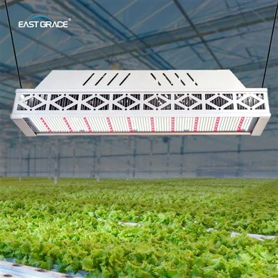 900w светодиодът расте светлинното осветление