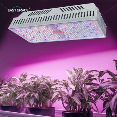 1200 800 W top1930e LED Разрастване на осветителното тяло